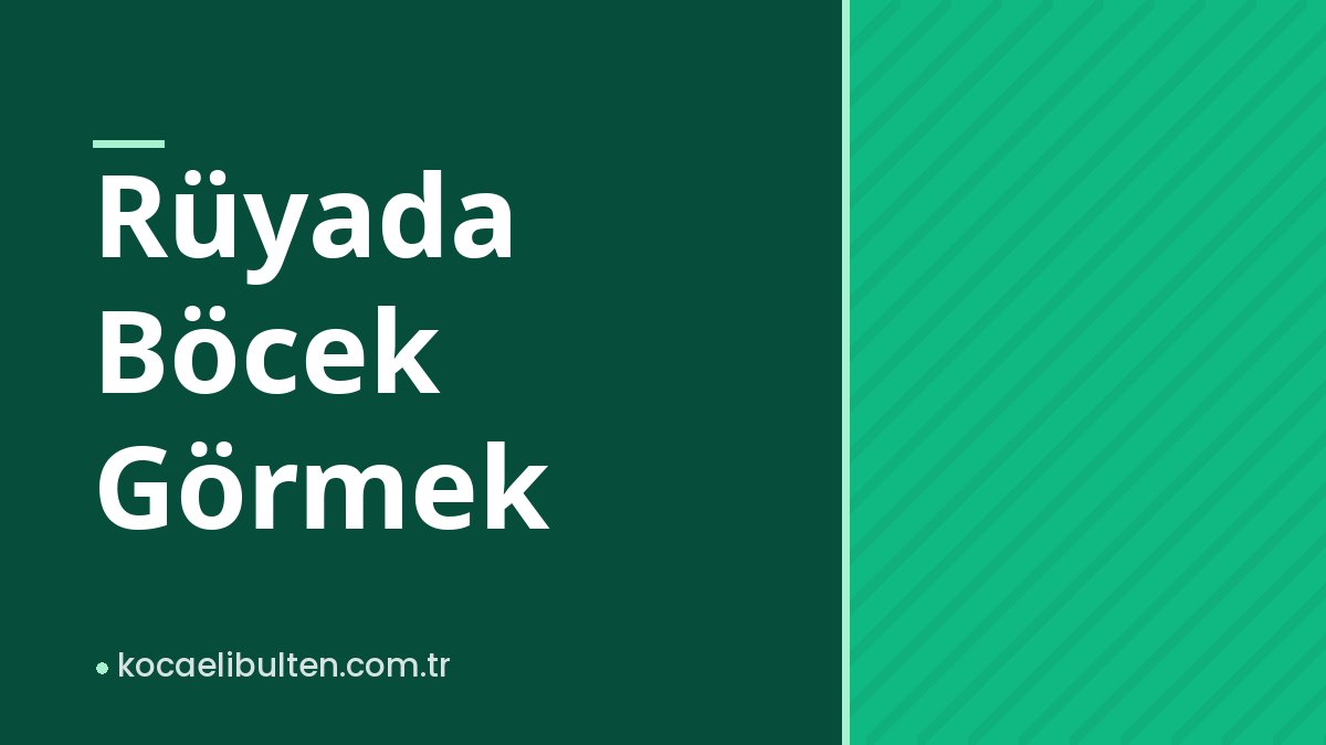 Rüyada Böcek Görmek