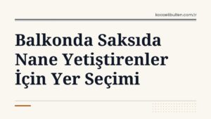 Balkonda Saksıda Nane Yetiştirenler İçin Yer Seçimi